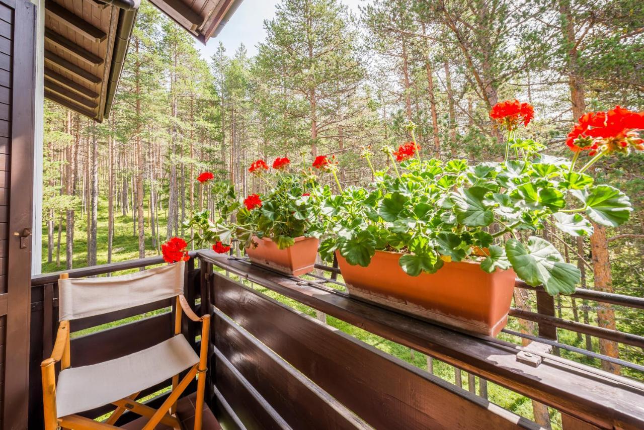 Residence Alice Nel Paese Dell' Armentarola 산카시아노 외부 사진